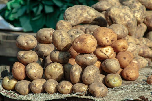 Comment planter des pommes de terre ?