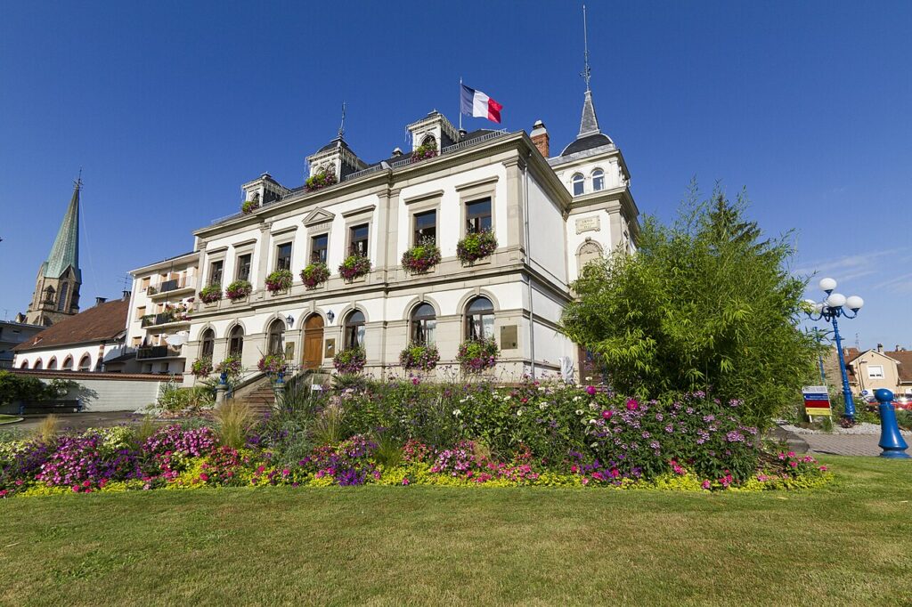 Dératisation à Bischheim