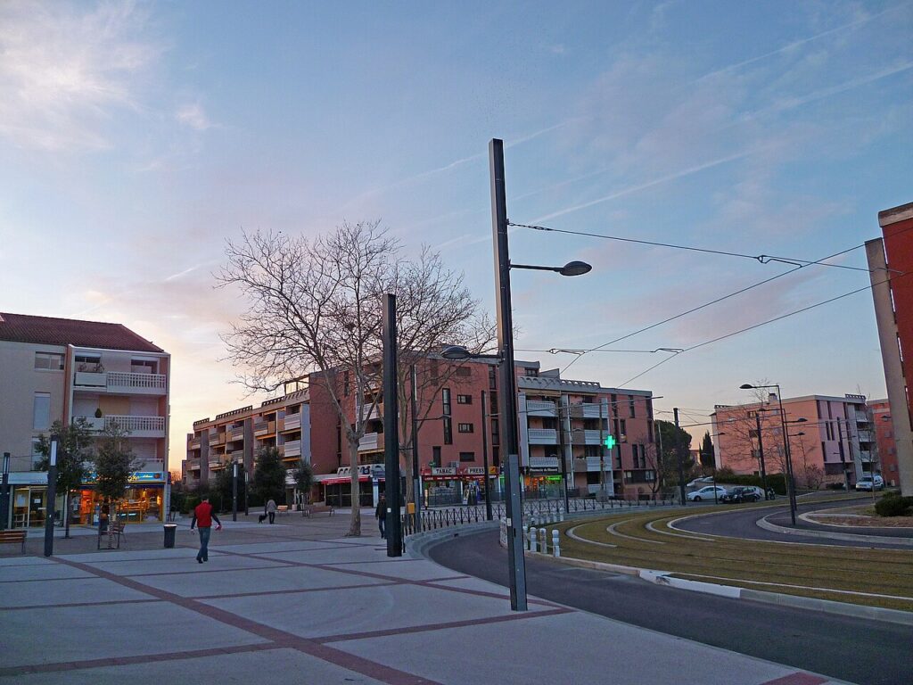 Dératisation à Blagnac