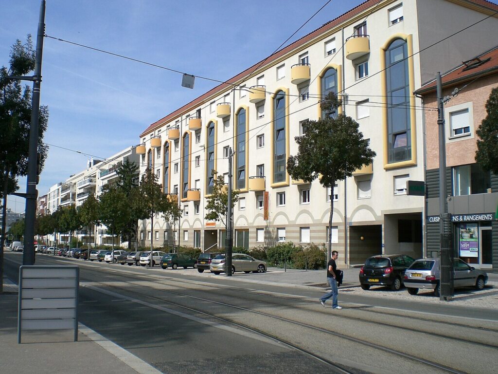 Dératisation à Bron
