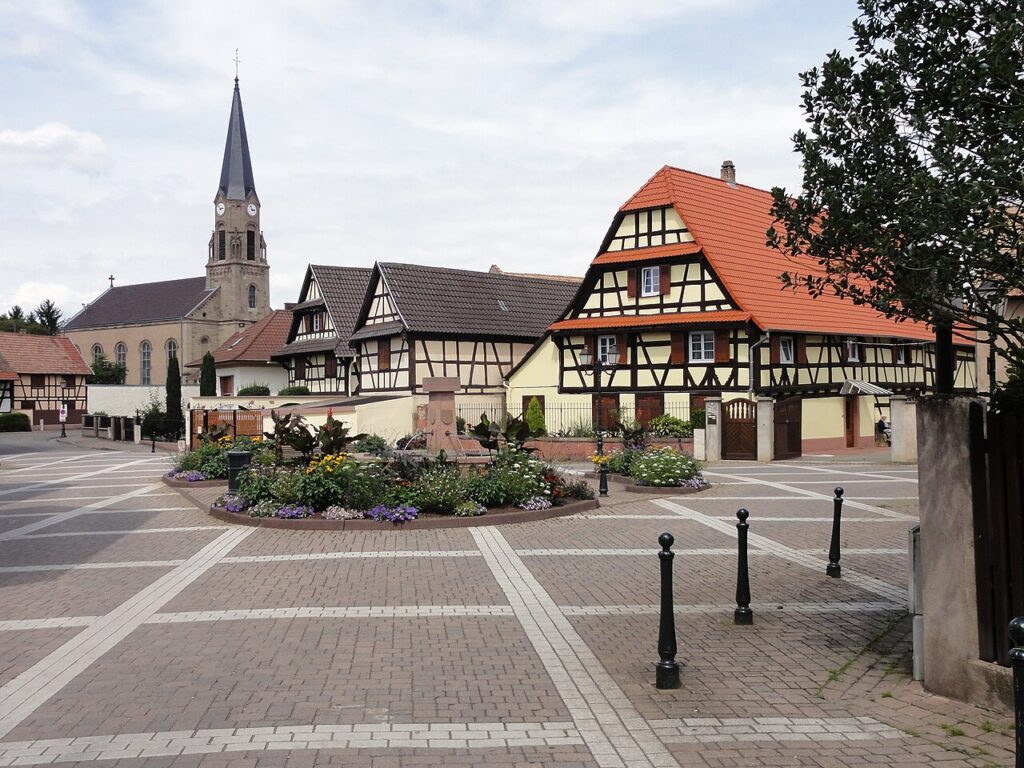 Dératisation à Eckbolsheim