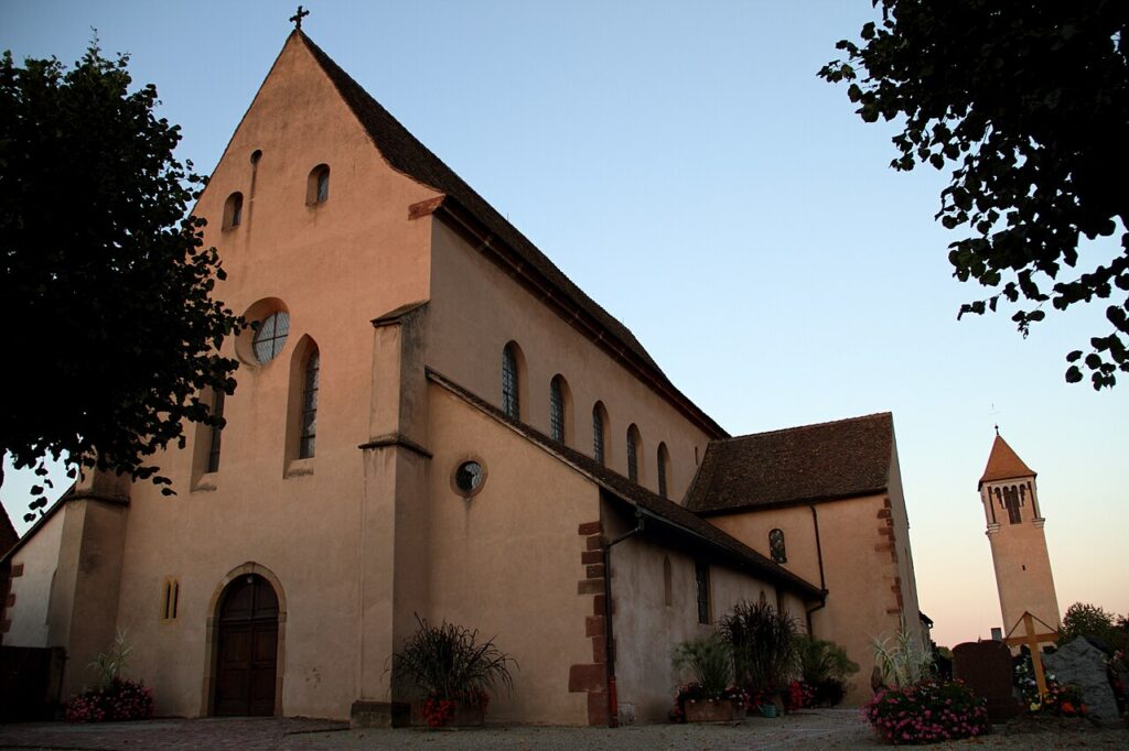 Dératisation à Eschau