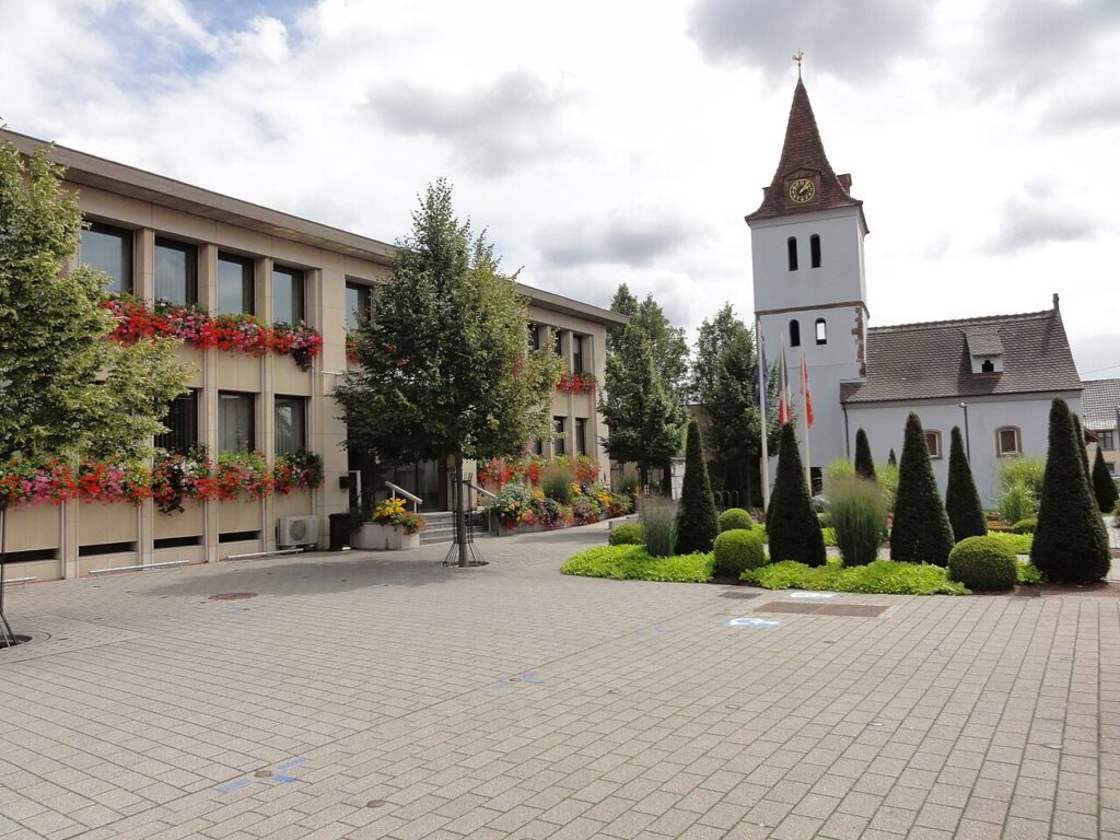 Dératisation à Hœnheim