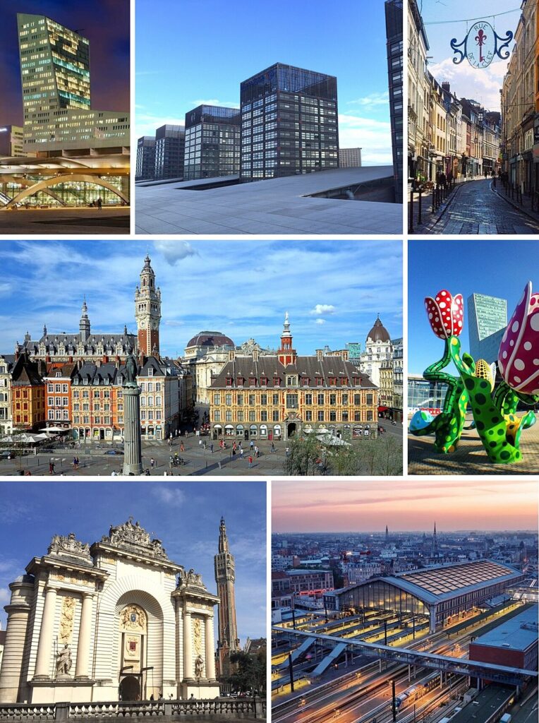 Dératisation à Lille