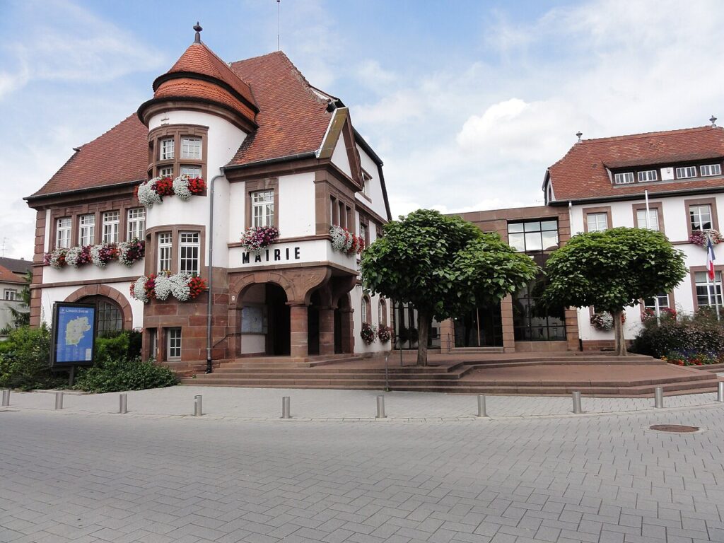 Dératisation à Lingolsheim