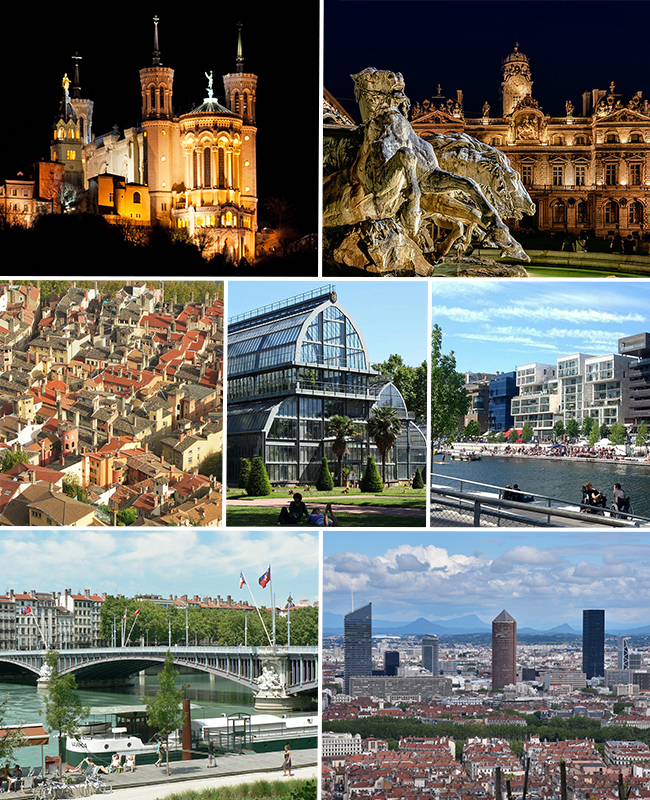 Dératisation à Lyon