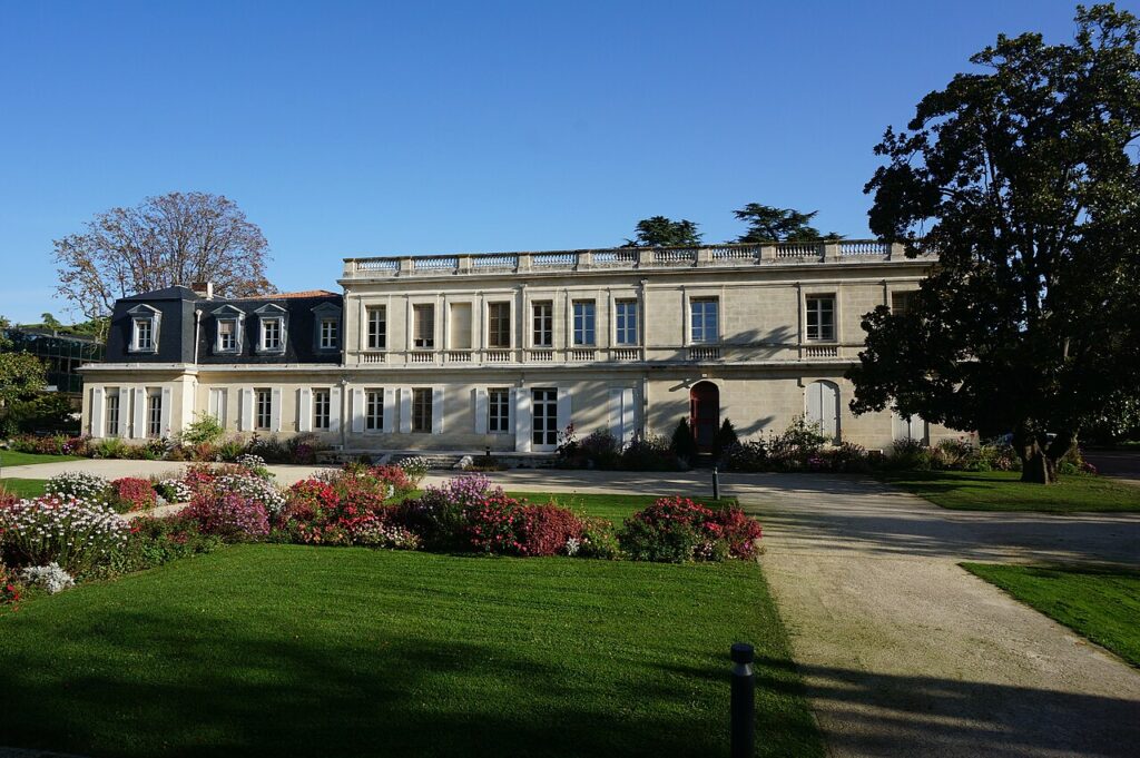 Dératisation à Mérignac