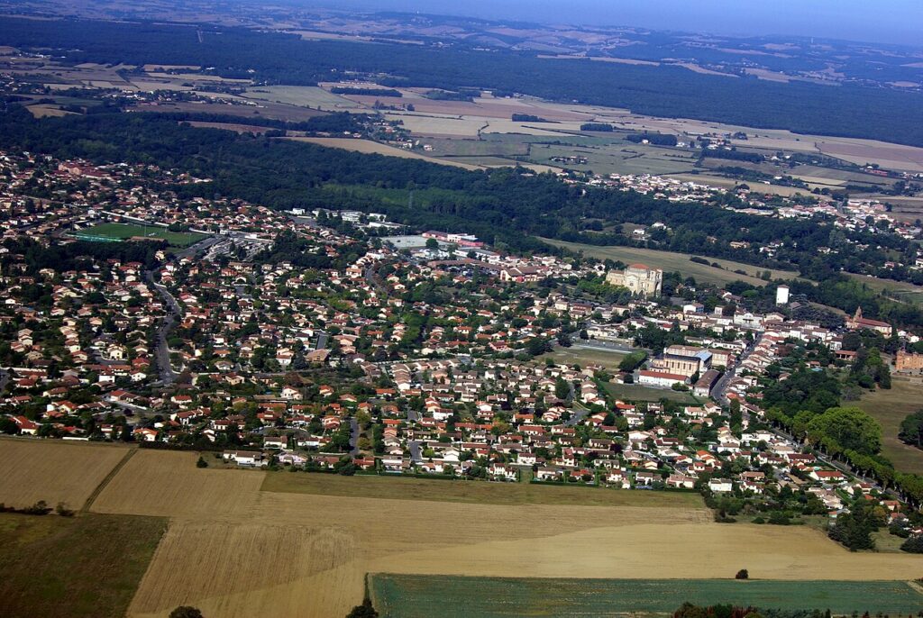 Dératisation à Pibrac