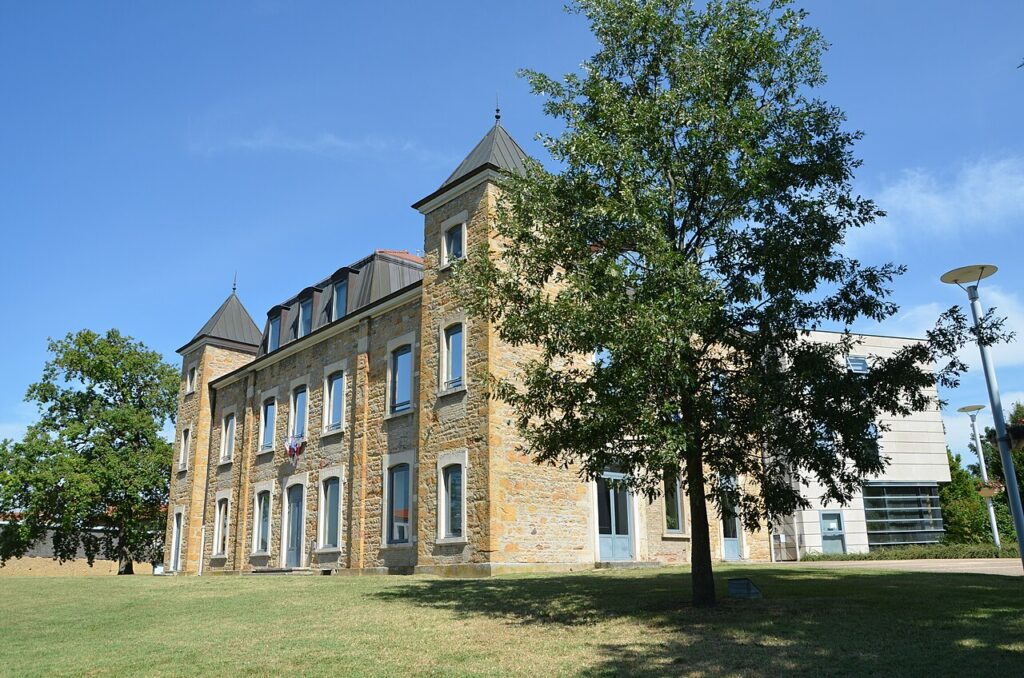 Dératisation à Rillieux-la-Pape