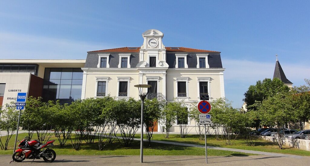 Dératisation à Saint-Fons