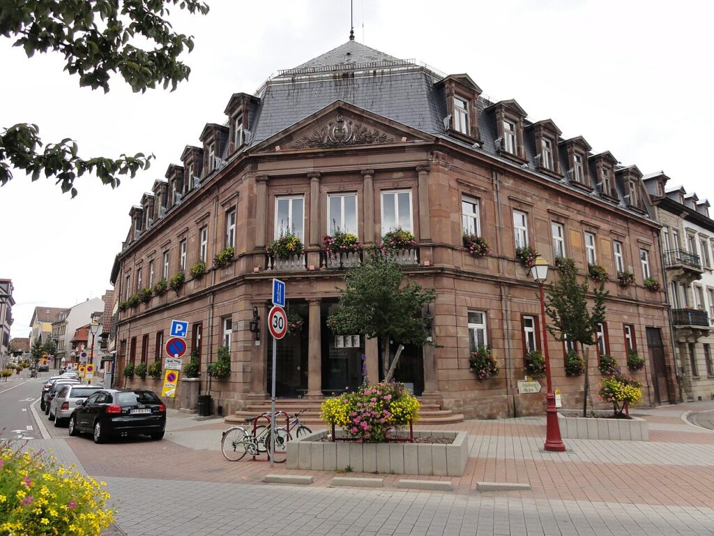 Dératisation à Schiltigheim