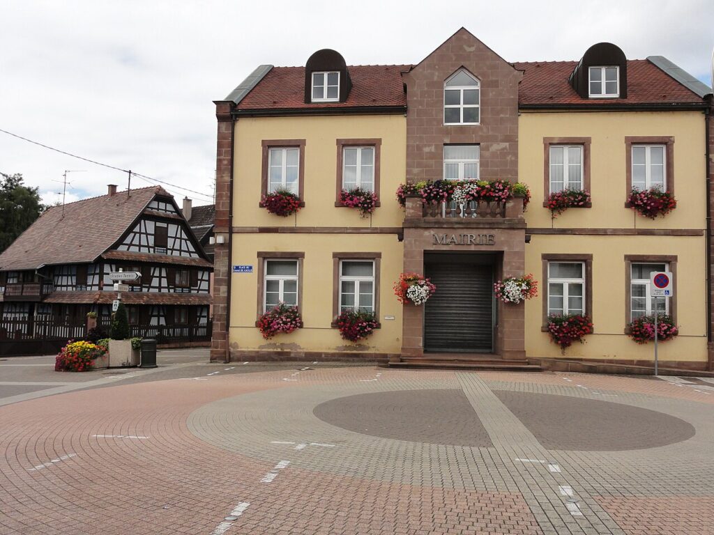 Dératisation à Souffelweyersheim