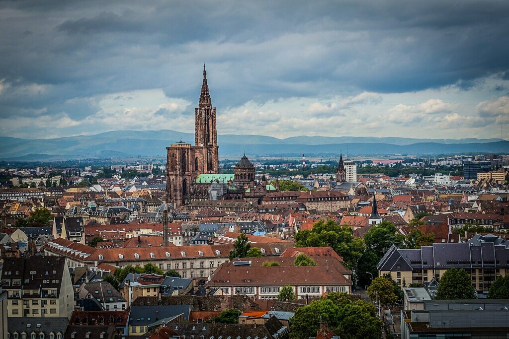 Dératisation à Strasbourg