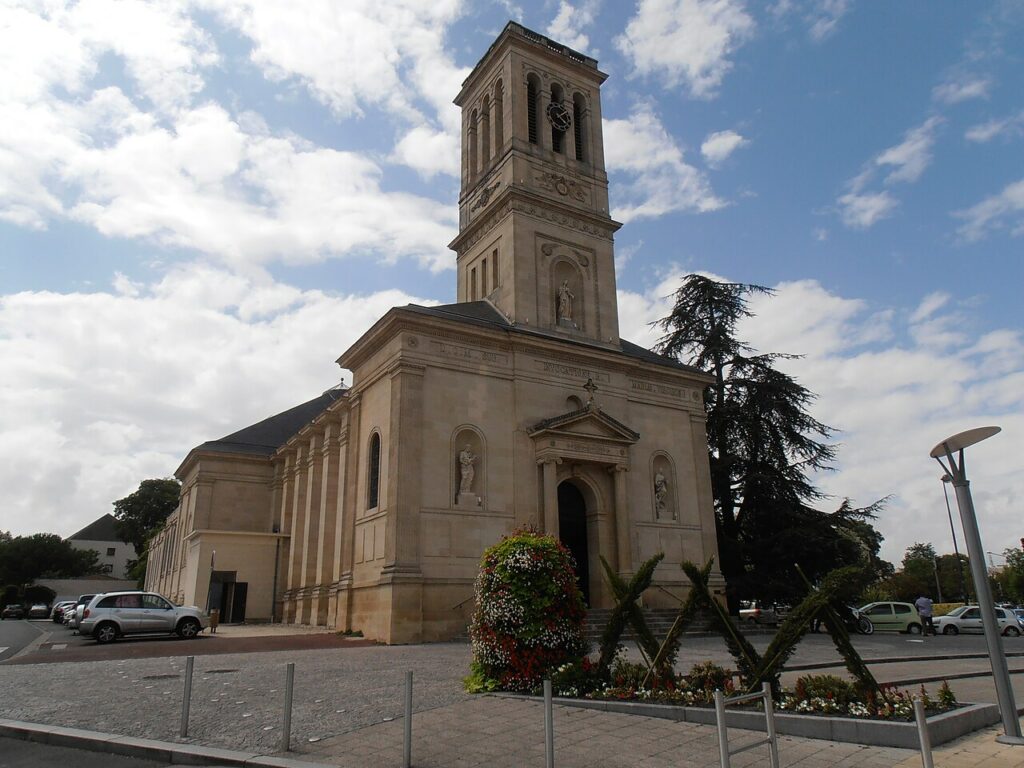 Dératisation à Talence