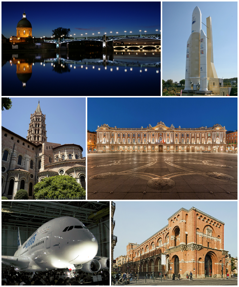 Dératisation à Toulouse