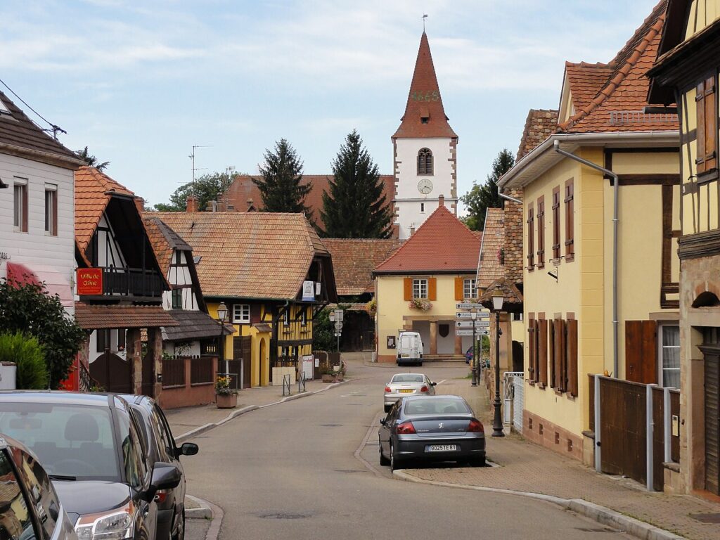 Dératisation à Vendenheim
