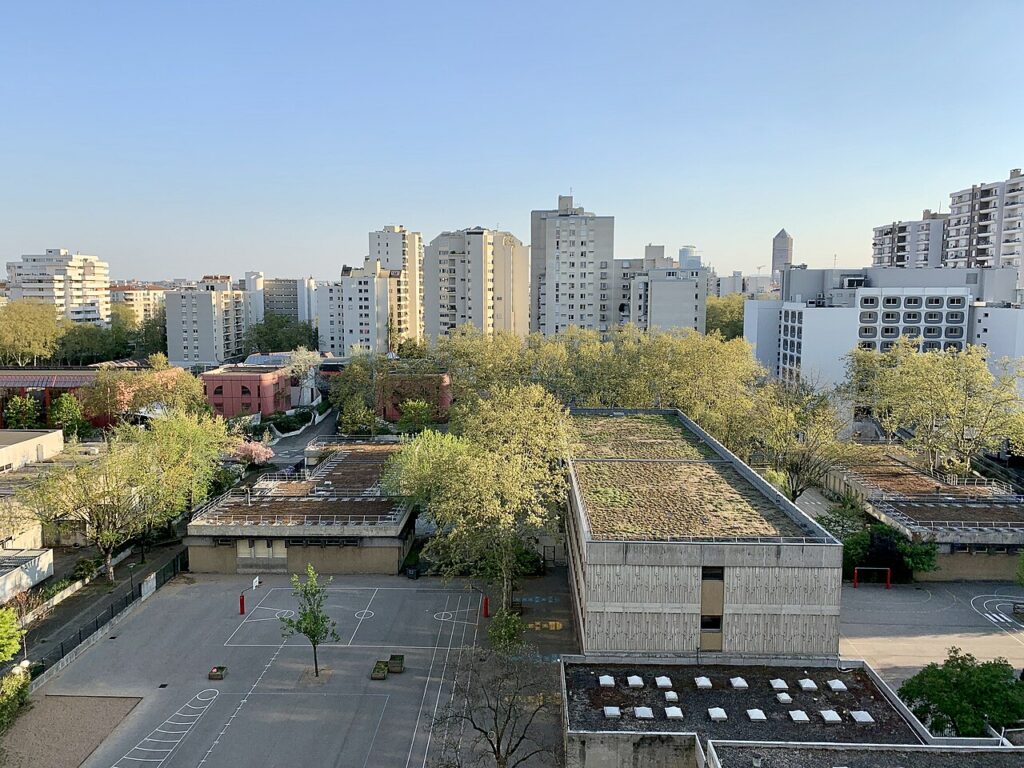 Dératisation à Villeurbanne